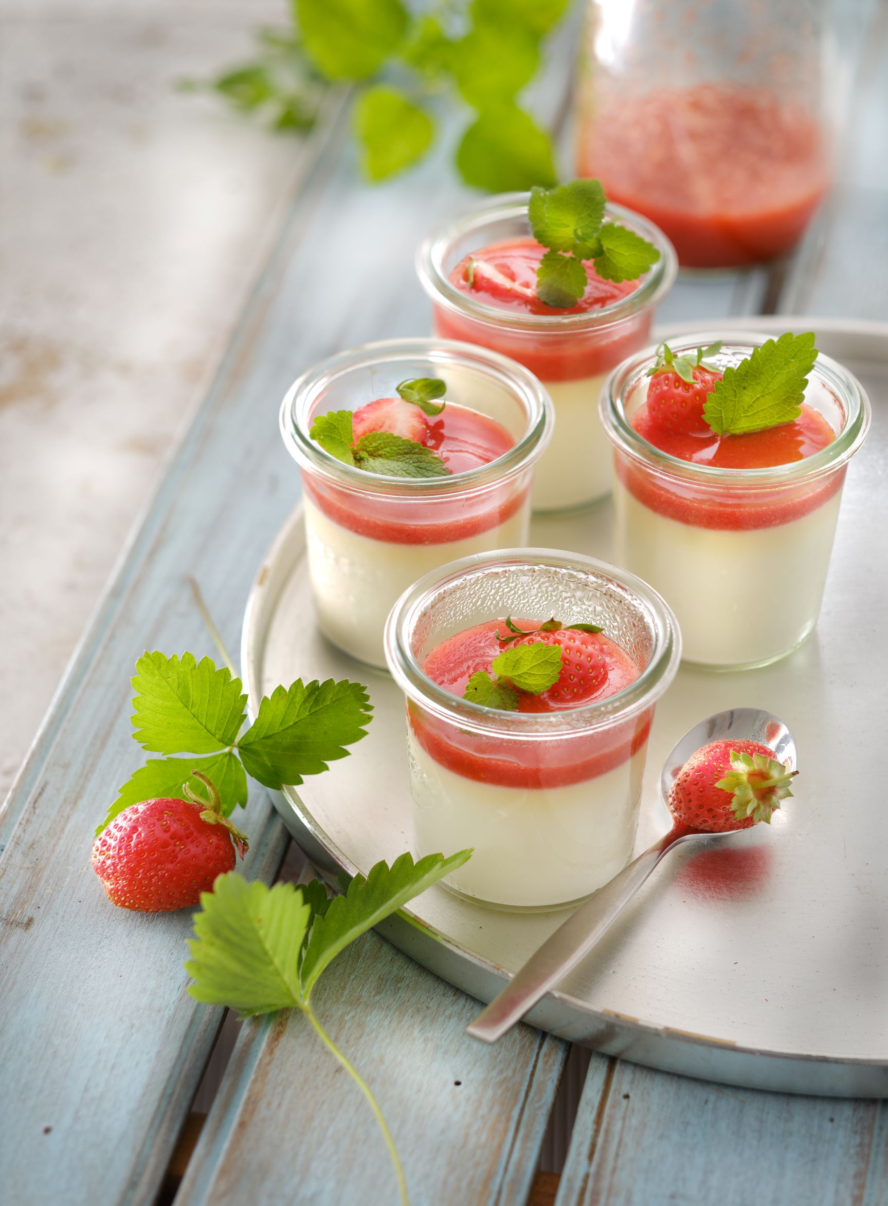 panna cotta die fodmapkueche carinebuhmann